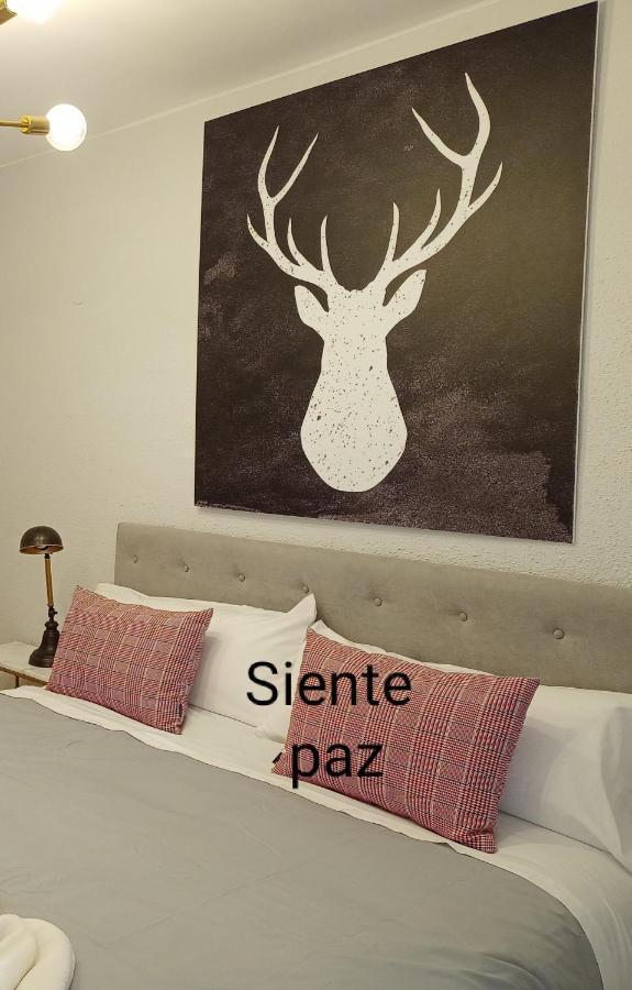 Origen Pelaire Excelente Limpieza Y Ubicacion Apartment Биескас Екстериор снимка